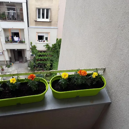 Cozy Hikers Flat アパート ベオグラード