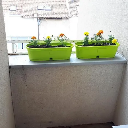 Cozy Hikers Flat ベオグラード